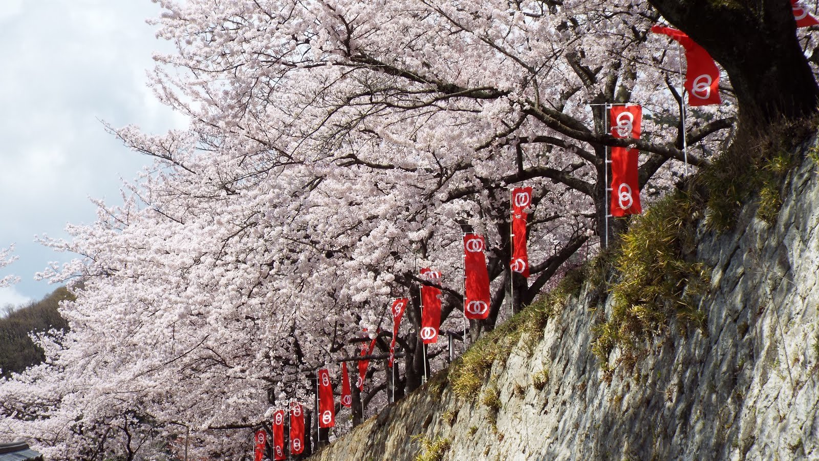 🏯 다쓰노 성(다쓰노조) 이미지 9